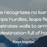 Maya Angelou - Love recognizes no barriers - love quote