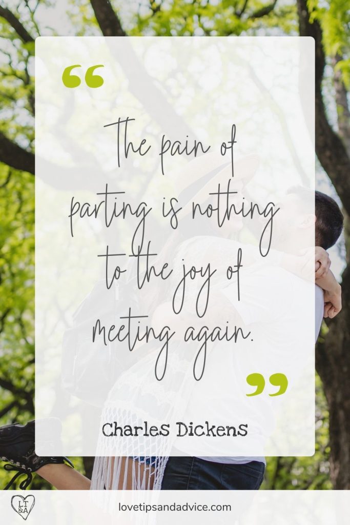 Quote - The pain of parting is nothing to the joy of meeting again