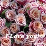 When to say I love you for the first time